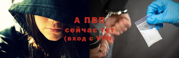 индика Россошь