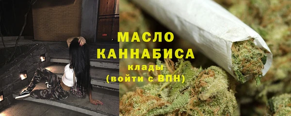 сатива Ростов