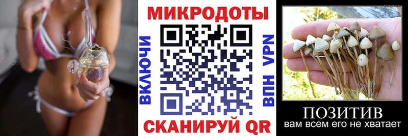 Купить закладки  Белёв  Галлюциногенные грибы Cubensis 